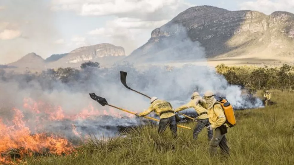 Como fogo é usado para evitar incêndios no Cerrado e Pantanal