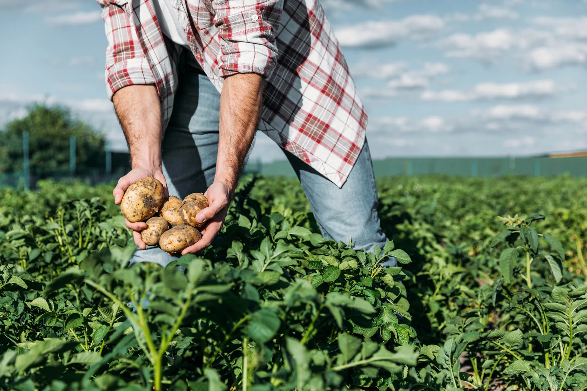 Glenis Gomes Steckel destaca a agricultura sustentável como caminho para alimentar o futuro